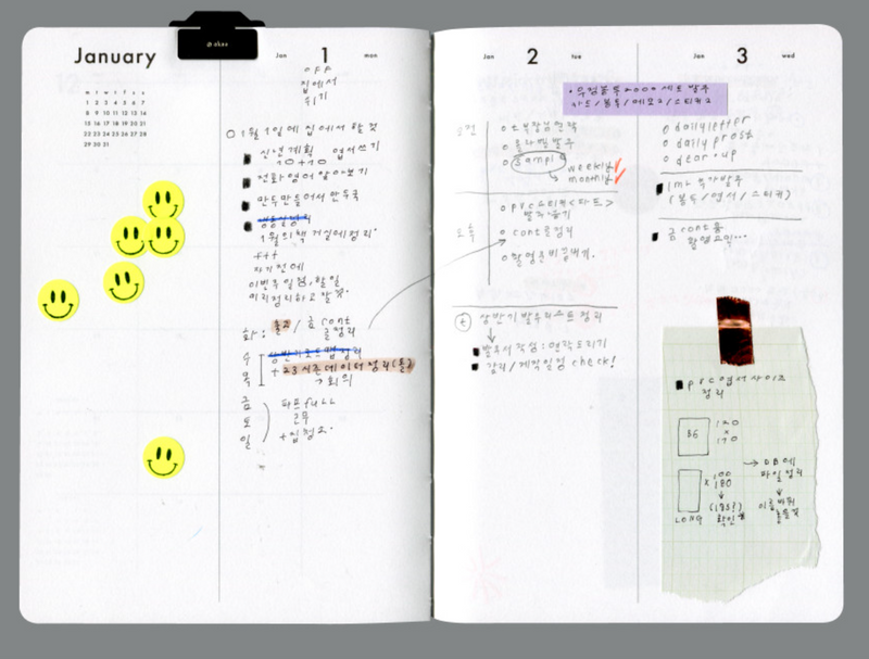 2025 AK: Daily Diary